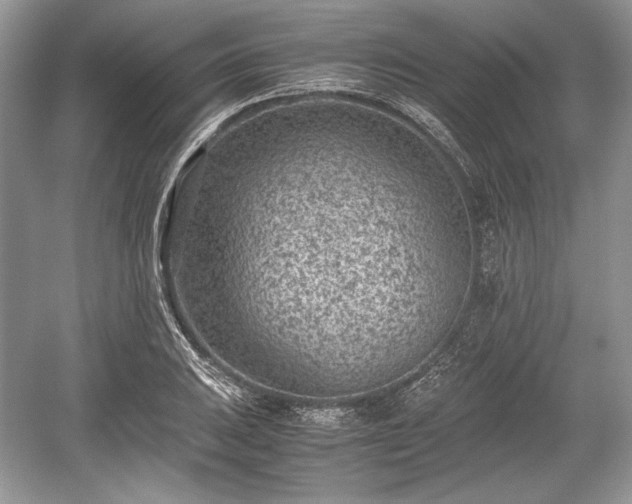 X0000059091031200510101139