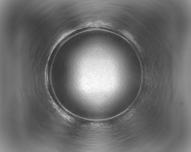 X0000059091032200510101139