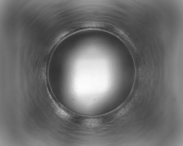 X0000059091033200510101139