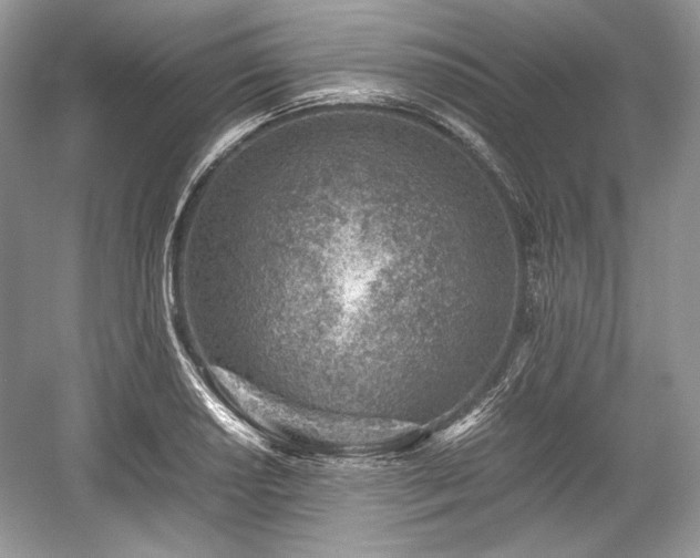 X0000059091034200510101139