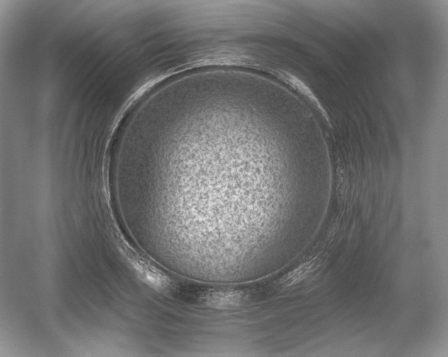 X0000059091035200510101139