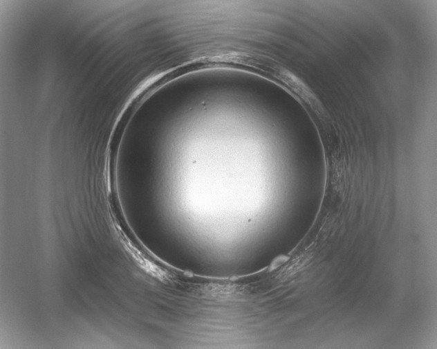 X0000059091036200510101139