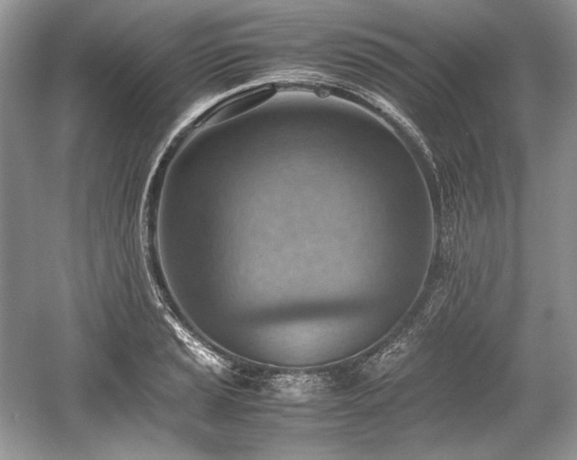 X0000059091037200510101139