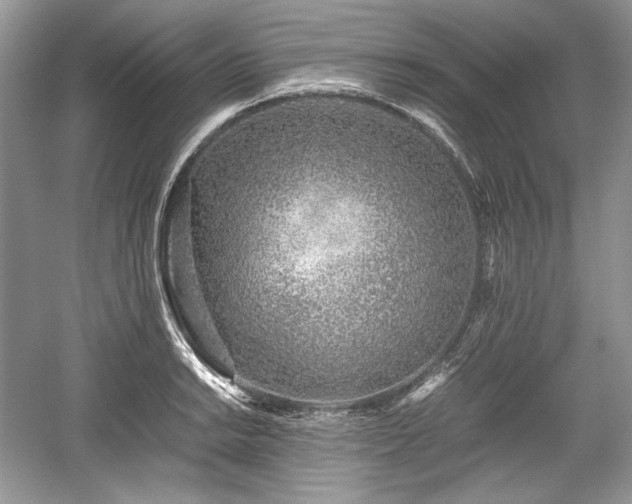 X0000059091038200510101139