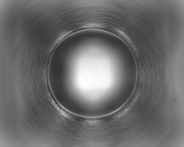 X0000059091041200510101139