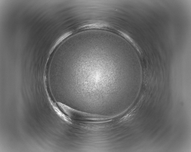 X0000059091042200510101139