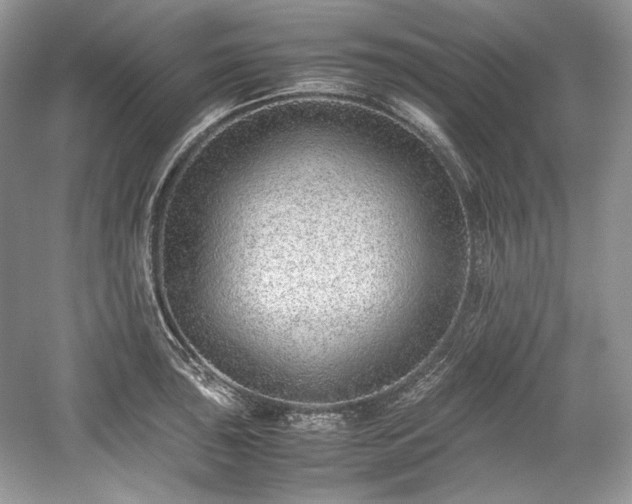 X0000059091043200510101139