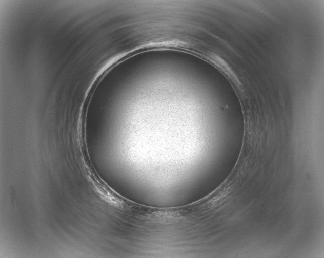 X0000059091044200510101139