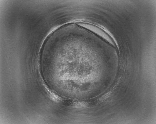 X0000059091045200510101139