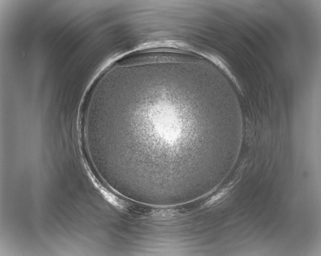 X0000059091046200510101139