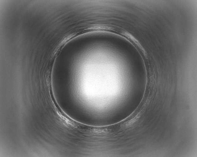 X0000059091049200510101139