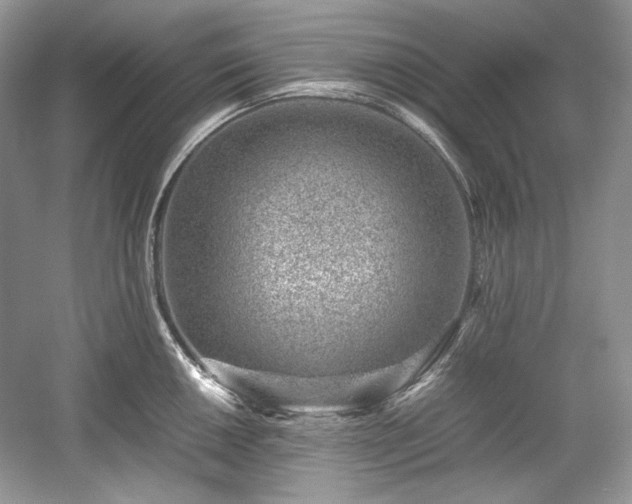 X0000059091050200510101139