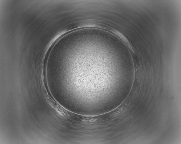 X0000059091051200510101139