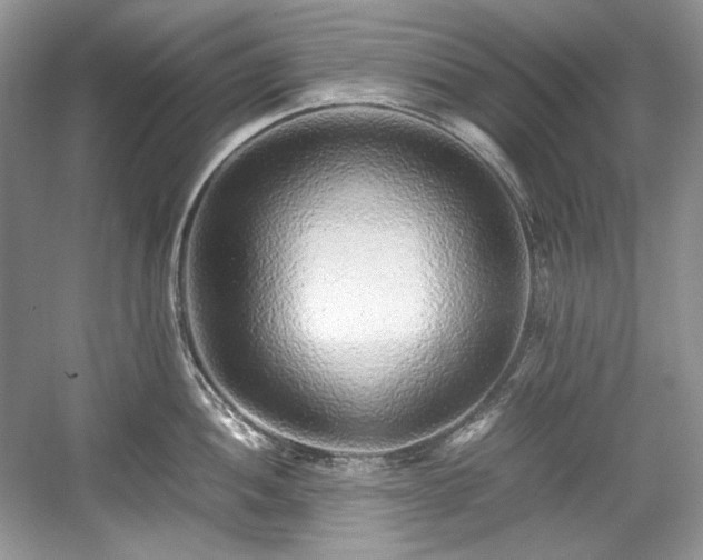 X0000059091052200510101139