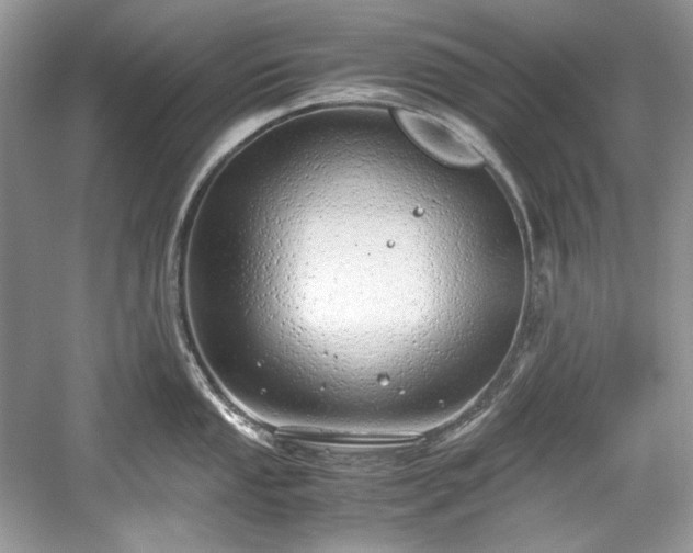 X0000059091053200510101139