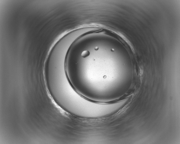 X0000059091054200510101139