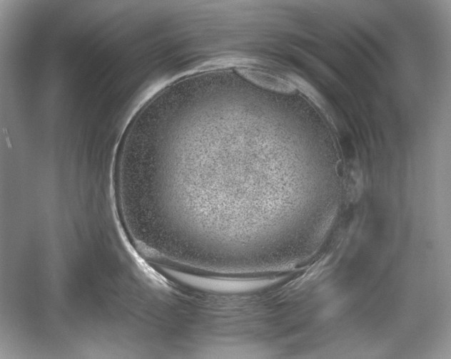 X0000059091055200510101139