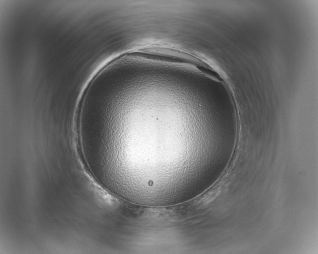 X0000059091056200510101139