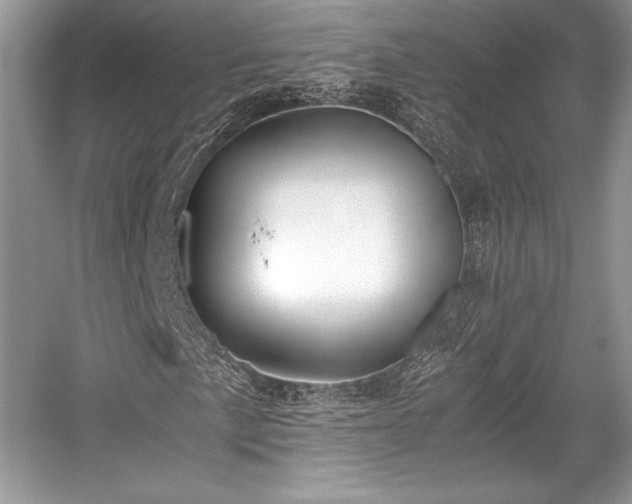 X0000059091057200510101139