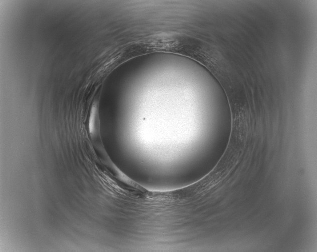 X0000059091058200510101138