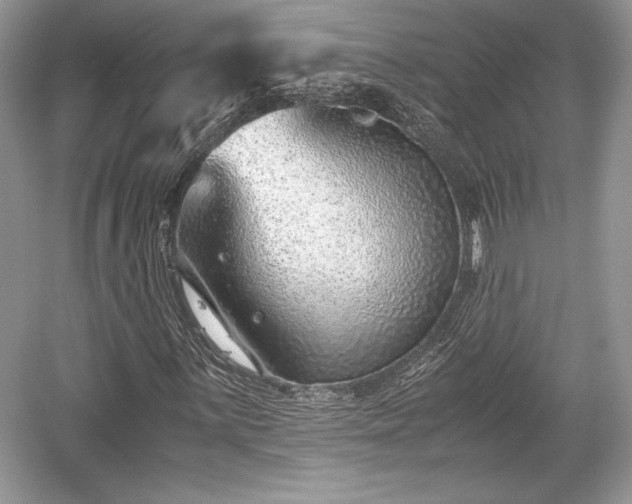 X0000059091059200510101138