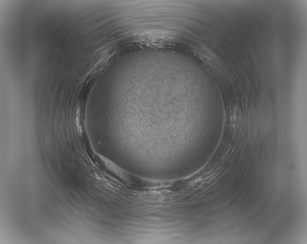 X0000059091060200510101138