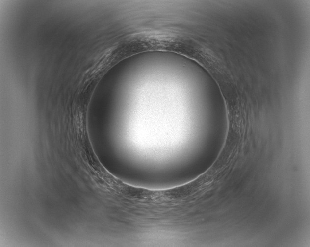 X0000059091061200510101138