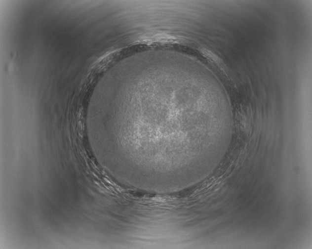 X0000059091063200510101138