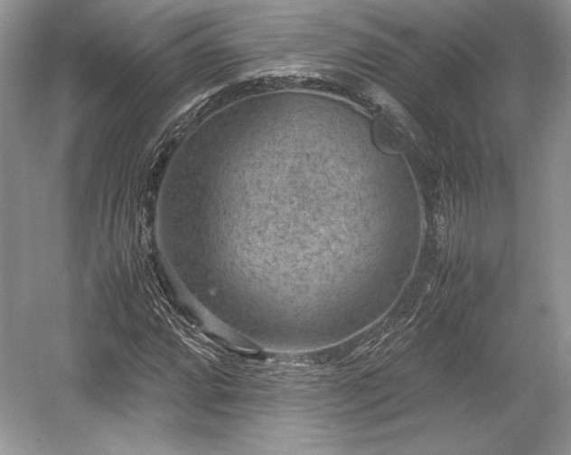 X0000059091064200510101138