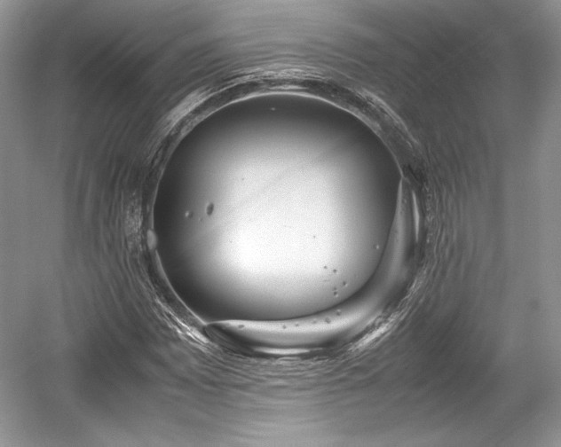 X0000059091065200510101138