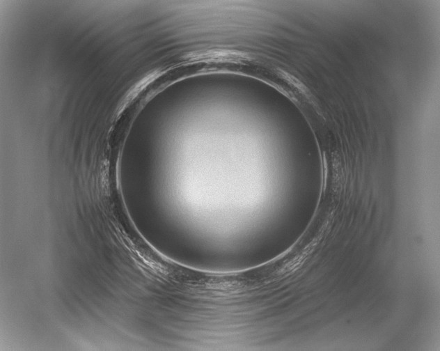 X0000059091066200510101138