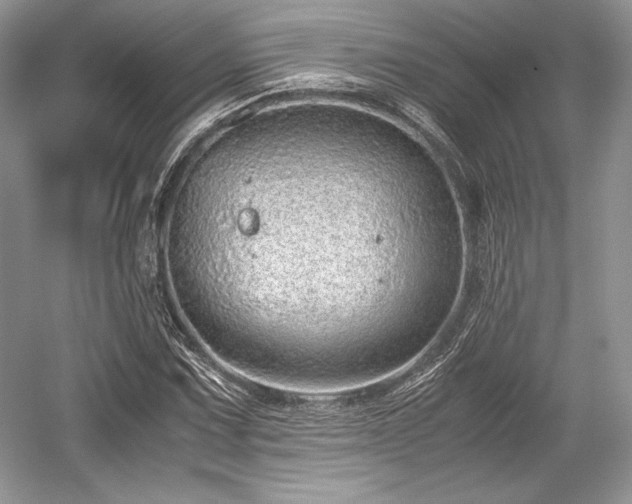 X0000059091067200510101138