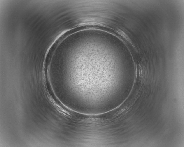 X0000059091068200510101138