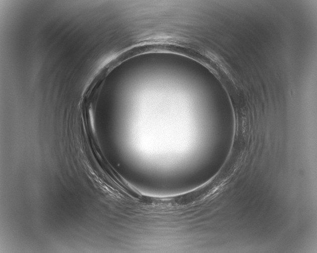 X0000059091069200510101138