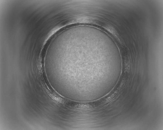 X0000059091070200510101138