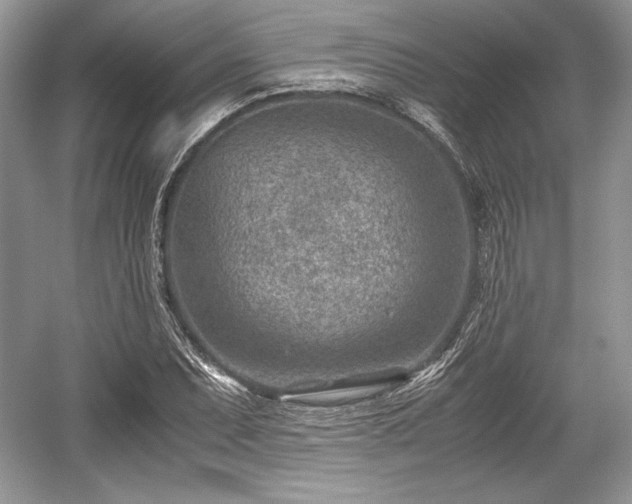 X0000059091071200510101138