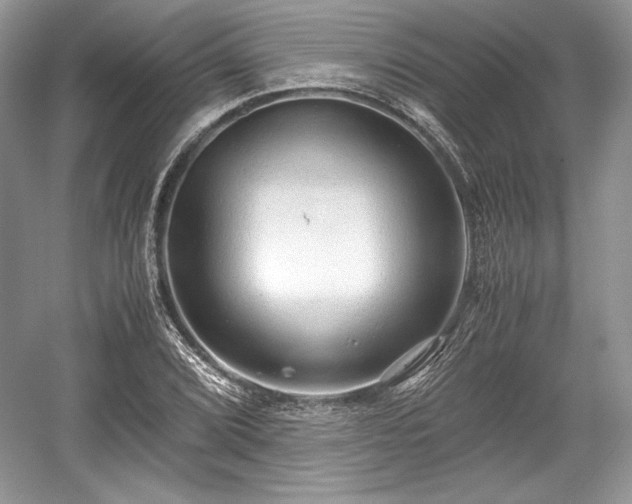 X0000059091072200510101138