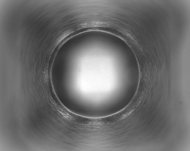 X0000059091073200510101138