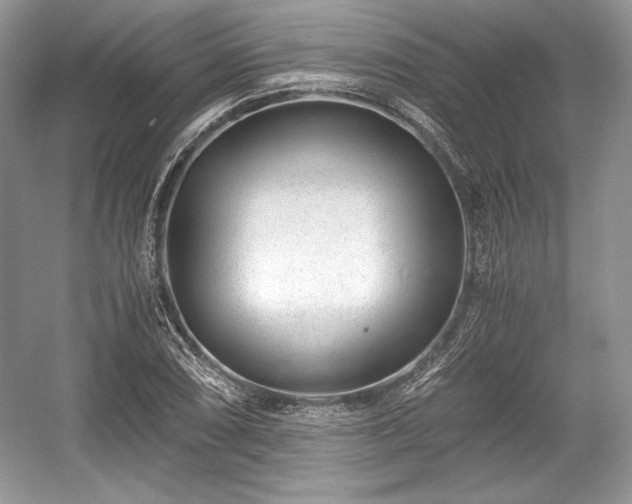 X0000059091074200510101138