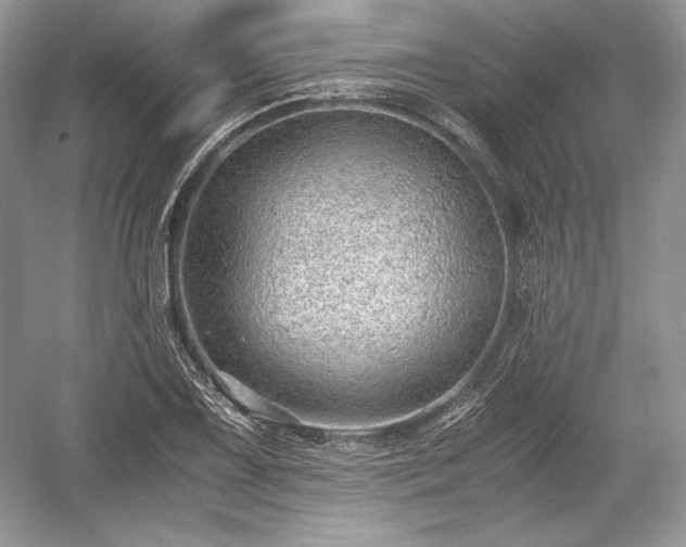 X0000059091075200510101138