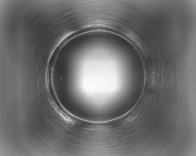 X0000059091076200510101138