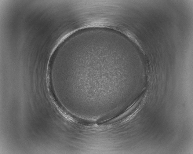 X0000059091077200510101138