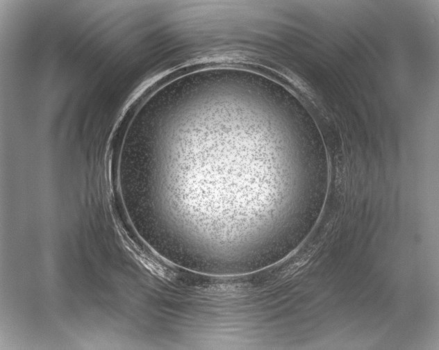 X0000059091078200510101138