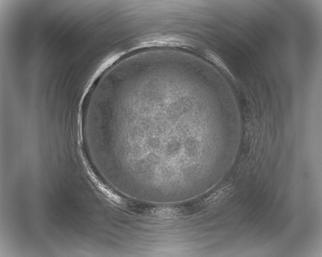 X0000059091079200510101138