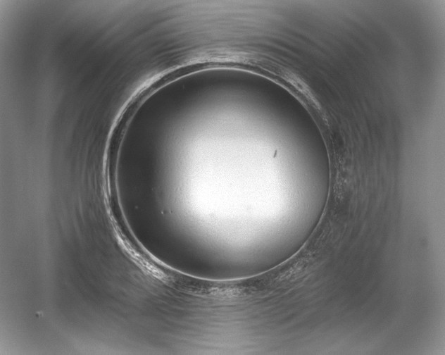 X0000059091080200510101138