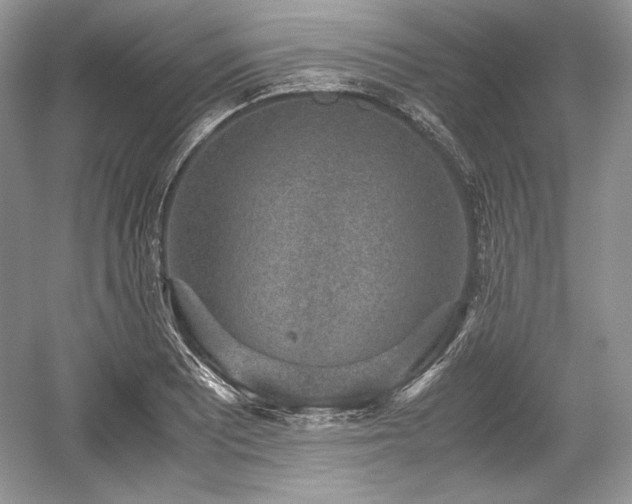 X0000059091081200510101138