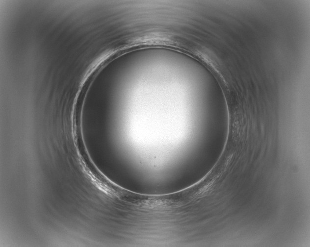 X0000059091082200510101138