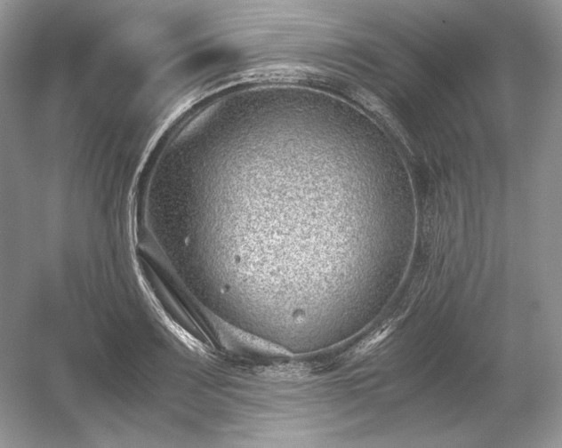 X0000059091083200510101138