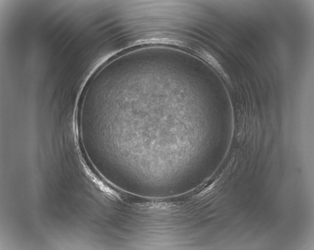 X0000059091084200510101138