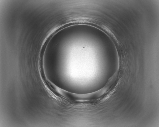 X0000059091085200510101138